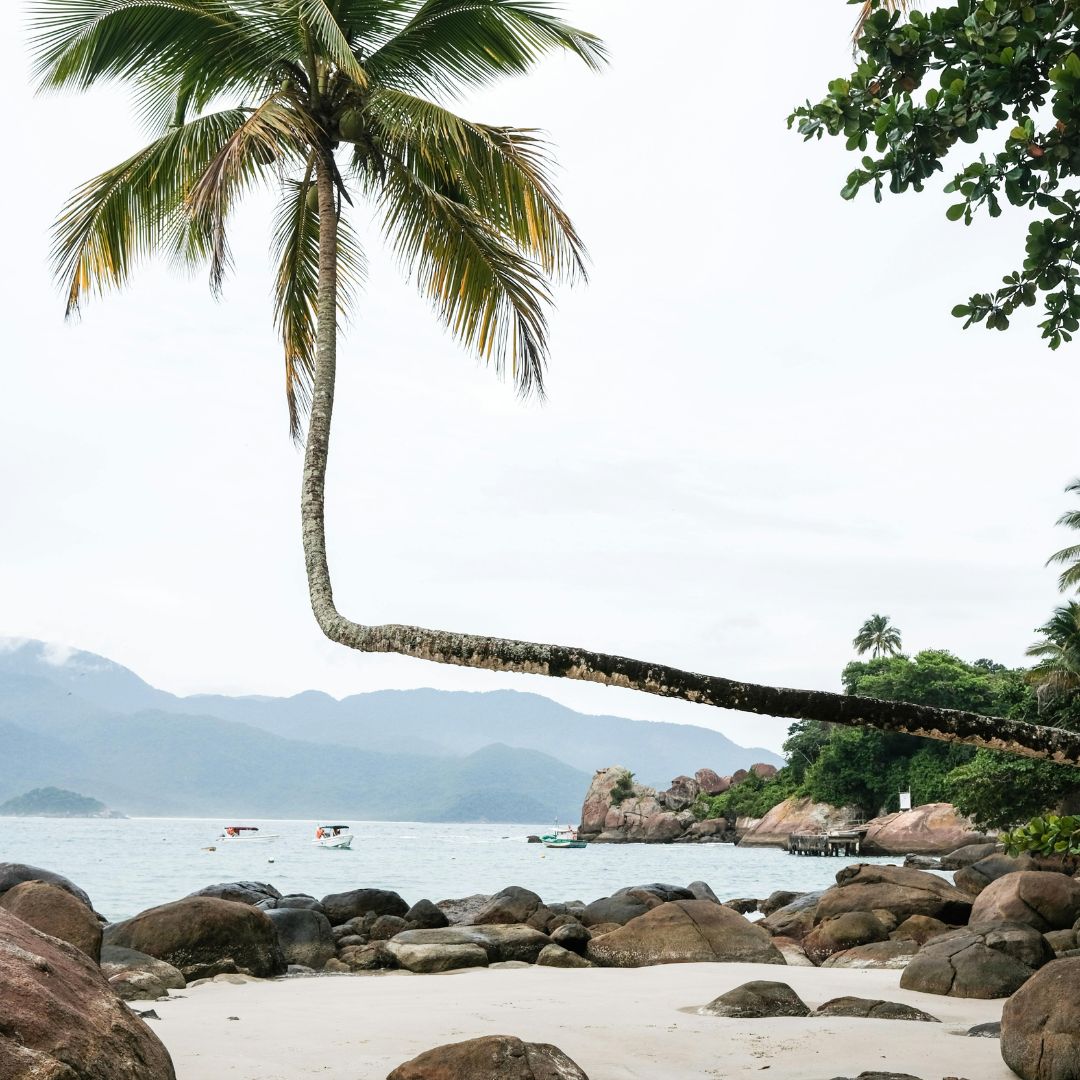 Ilha_Grande_Transparada